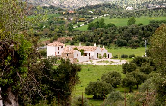 Apartamento El Molino