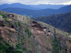 Buitres Leonados en Los Alcornocales