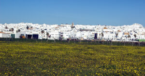 Conil de la Frontera
