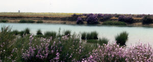 El Prado Conil de la Frontera