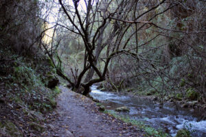 El Rio Majaceite El Bosque Benamahoma