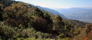 Parque Natural Sierra de Grazalema El Bosque