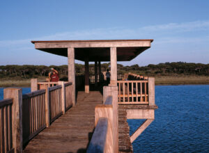 Parque de Los Torunos Bahia de Cadiz