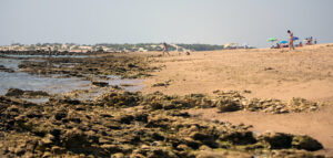 Playa de Sancti Petri