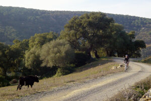 Ruta de Los Molinos Alcornocales Tarifa