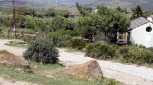 San Bartolo Bolonia