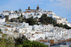 alcala de los gazules