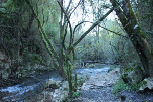 El Rio Majaceite El Bosque Benamahoma