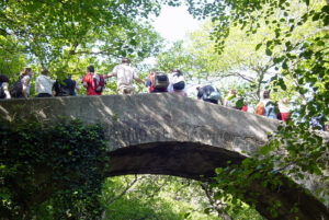 El Rio de la Miel Alcornocales