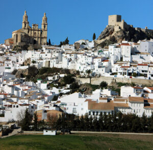 Olvera