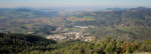 Parque Natural Sierra de Grazalema El Bosque