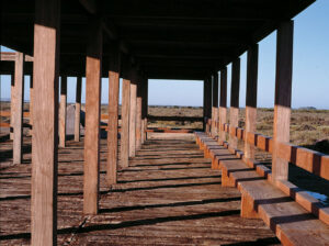 Parque de Los Torunos Bahia de Cadiz