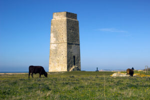 Playa de Castilnovo