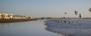 Playa de Valdelagrana El Puerto de Santa Maria