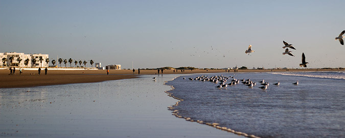 Valdelagrana