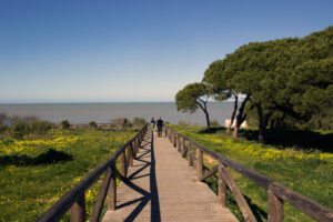 Playa de la Jara Sanlucar de Barrameda
