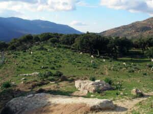 Parque Natural de Los Alcornocales