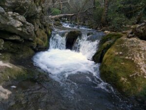 rio majaceite el bosque
