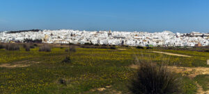 Conil de la Frontera