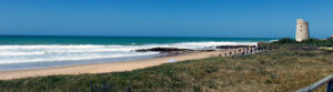 El Palmar y Torre Nueva