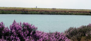 El Prado Conil de la Frontera