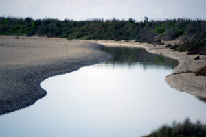 Parque Natural Bahia de Cadiz Rio Arillo