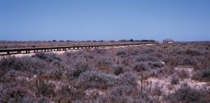 Parque de Los Torunos Bahia de Cadiz