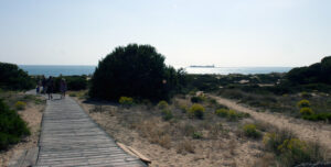 Playa de Sancti Petri