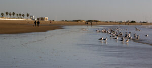 Playa de Valdelagrana El Puerto de Santa Maria