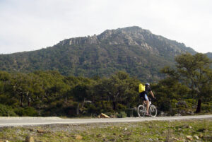 Ruta de Los Molinos Alcornocales Tarifa