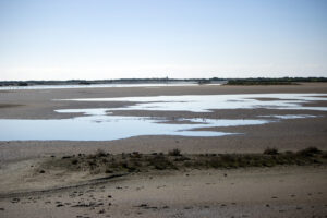 Parque Natural Bahia de Cadiz Rio Arillo
