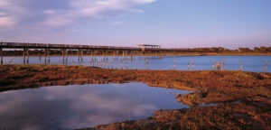 Parque de Los Torunos Bahia de Cadiz