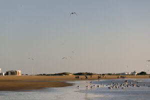 Playa de Valdelagrana El Puerto de Santa Maria