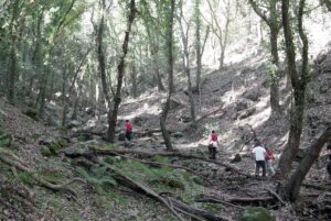 Sendero Canuto de Risco Blanco Alcornocales