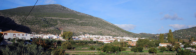 Algodonales