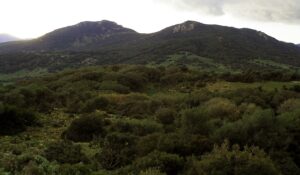 Parque Natural de Los Alcornocales