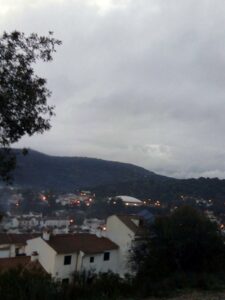 el bosque