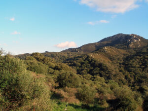 Parque Natural de los Alcornocales