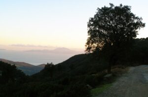 Parque Natural de Los Alcornocales