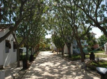 Apartamento El Molino
