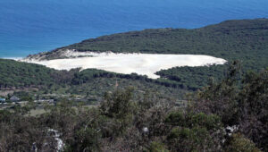 Bolonia