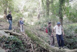 Sendero Canuto de Risco Blanco Alcornocales