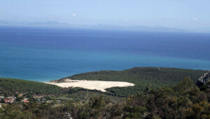 Bolonia