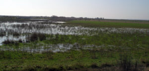 Parque Nacional de Donana