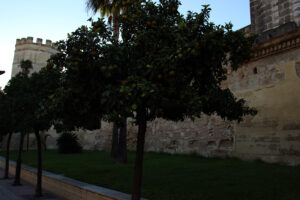 el Alcazar y su Torre Octogonal