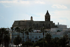IMG 5640