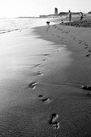 El Palmar