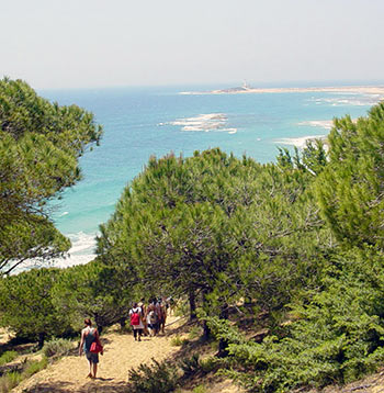 la Breña y Marismas de Barbate
