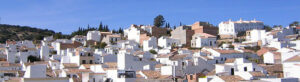 prado del rey